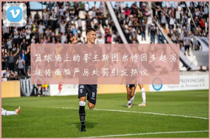 篮球场上的拳王斯图尔特因多起劣迹将面临严厉处罚引发热议